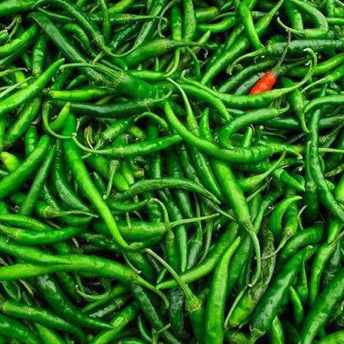 Home green chilli